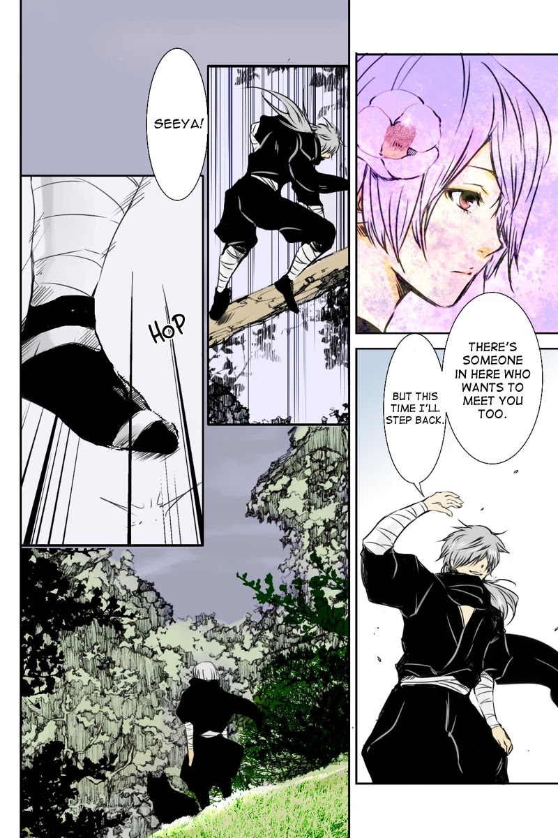Fundamentals of Light Chapter 13 page 10 - Chapter 13: A silver encounter
