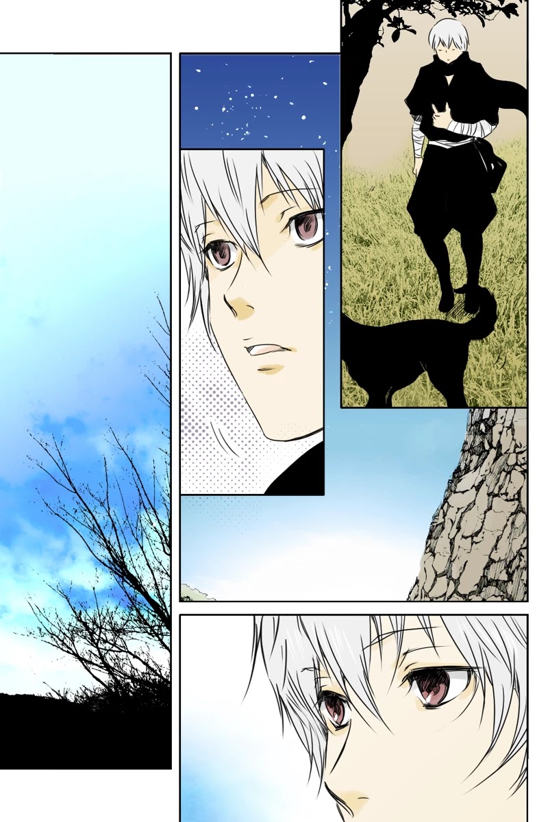 Fundamentals of Light Chapter 13 page 11 - Chapter 13: A silver encounter