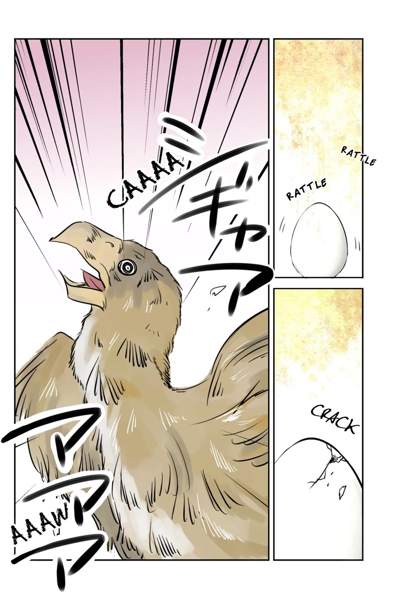 Fundamentals of Light Chapter 18 page 2 - Chapter 18: A debut