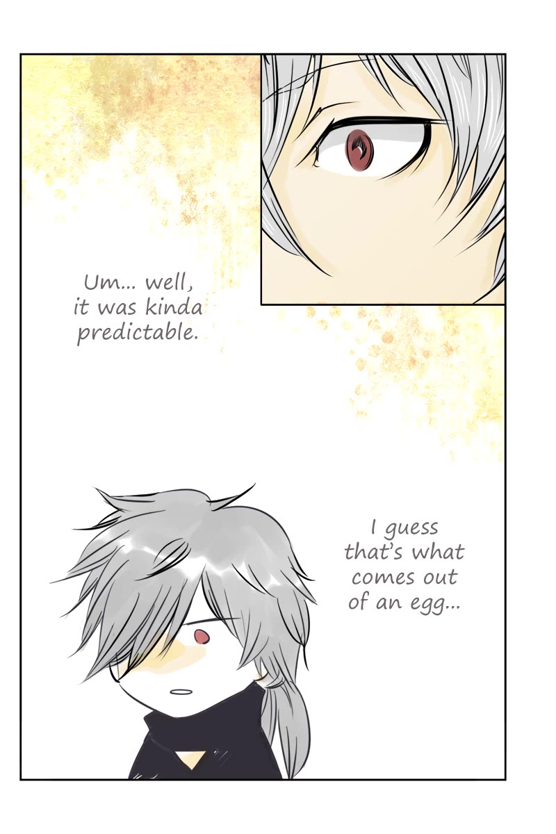 Fundamentals of Light Chapter 29 page 12 - Chapter 29: The egg