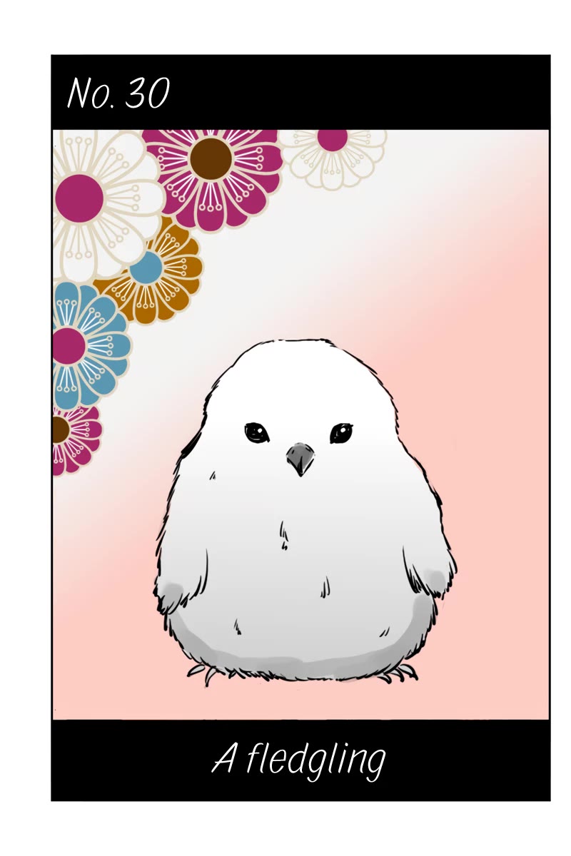 Fundamentals of Light Chapter 30 page 1 - Chapter 30: A fledgling