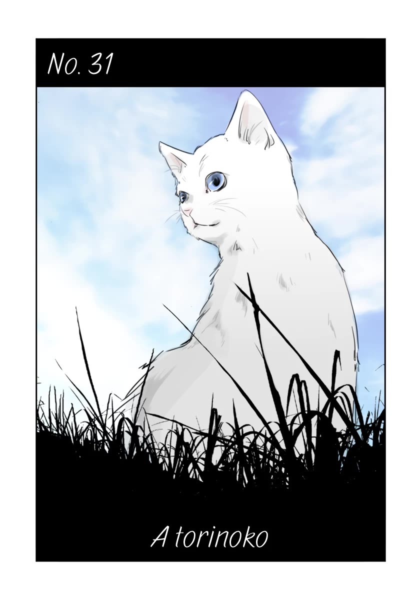 Fundamentals of Light Chapter 31 page 1 - Chapter 31: A torinoko