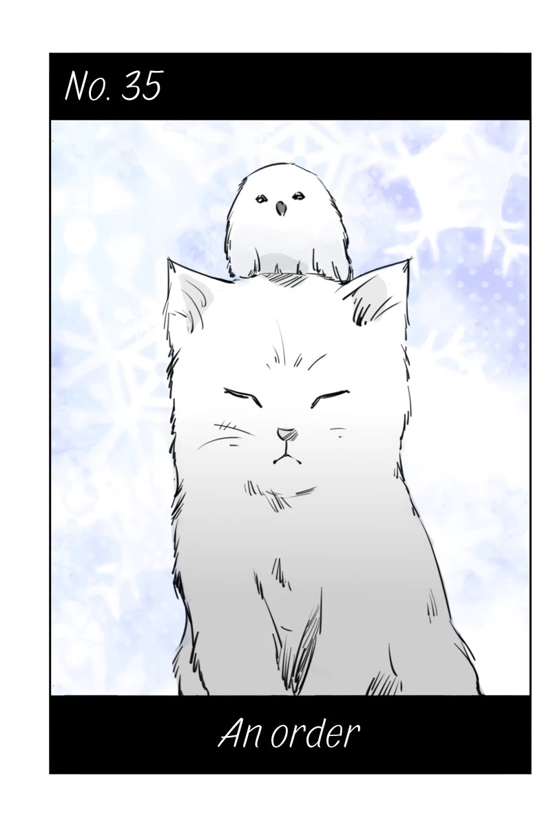 Fundamentals of Light Chapter 35 page 1 - Chapter 35: An order