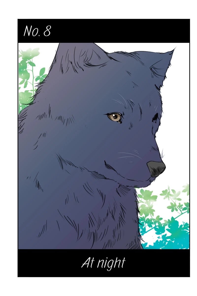 Fundamentals of Light Chapter 8 page 1 - Chapter 8: At night