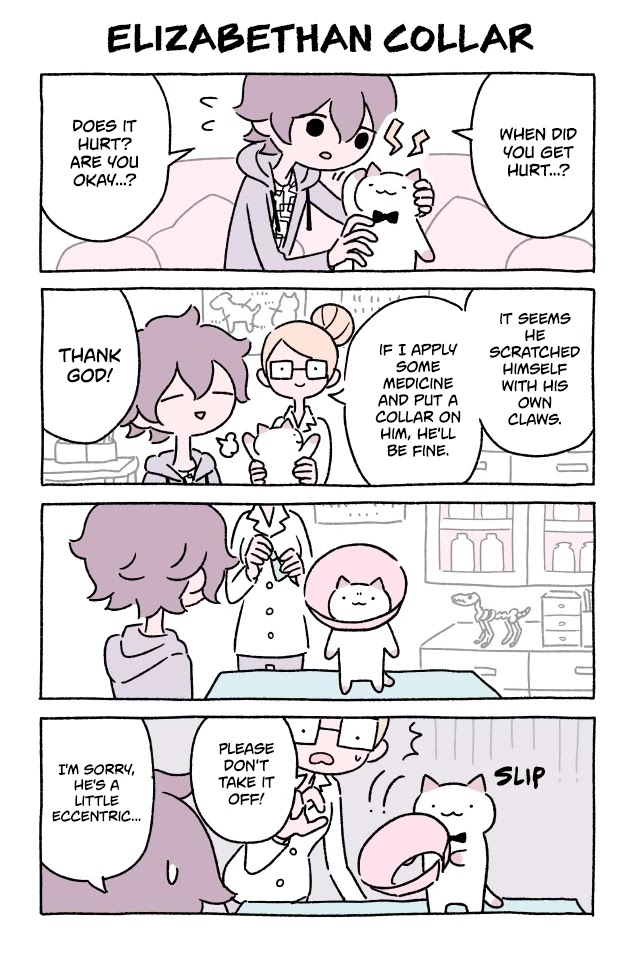 Fushigi Neko no Kyuu-chan Chapter 177 page 1 - Chapter 177: Elizabethan Collar