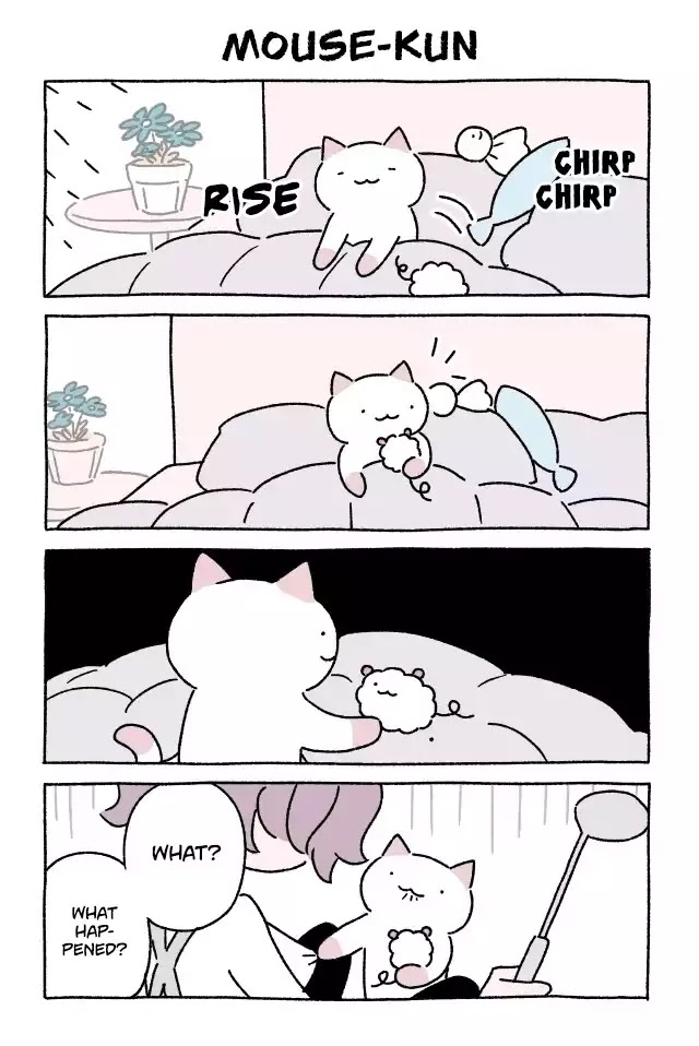 Fushigi Neko no Kyuu-chan Chapter 205 page 1 - Chapter 205: Mouse-kun