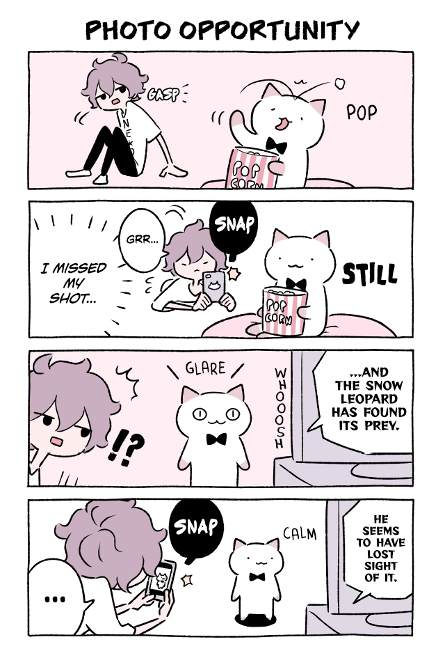 Fushigi Neko no Kyuu-chan Chapter 326 page 1 - Chapter 326: Photo Opportunity