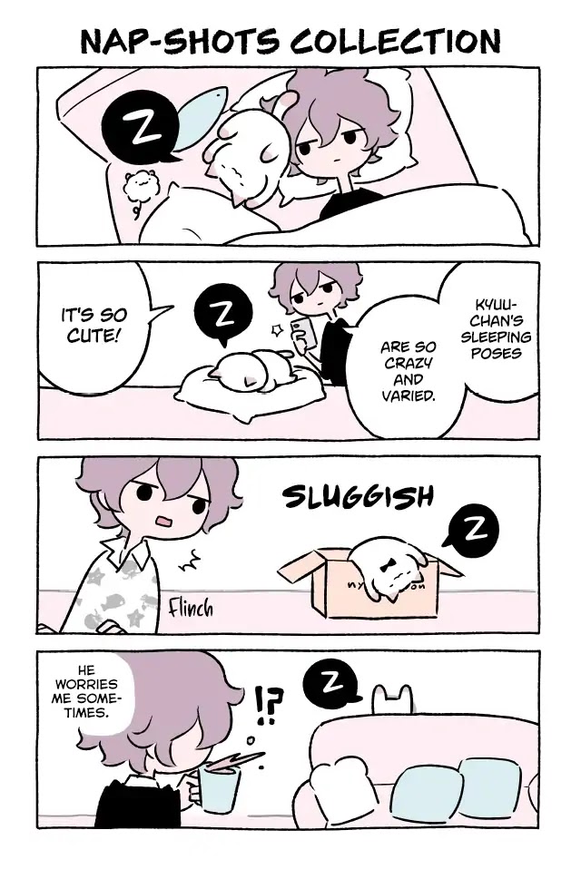 Fushigi Neko no Kyuu-chan Chapter 338 page 1 - Chapter 338: Nap-Shots Collection