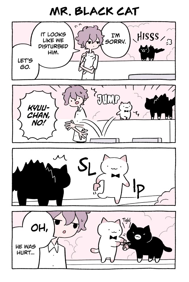 Fushigi Neko no Kyuu-chan Chapter 404 page 1 - Chapter 404: Mr. Black Cat