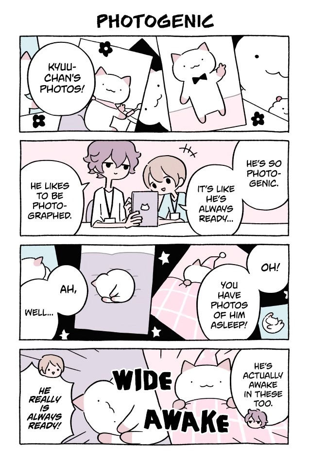 Fushigi Neko no Kyuu-chan Chapter 409 page 1 - Chapter 409: Photogenic