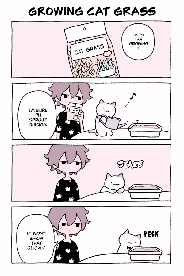 Fushigi Neko no Kyuu-chan Chapter 50 page 1 - Chapter 50: Growing Cat Grass