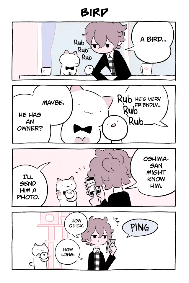 Fushigi Neko no Kyuu-chan Chapter 543 page 1 - Chapter 543: Bird
