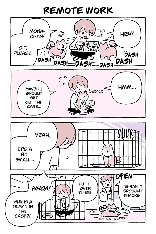 Fushigi Neko no Kyuu-chan Chapter 675 page 1 - Chapter 675: Remote Work