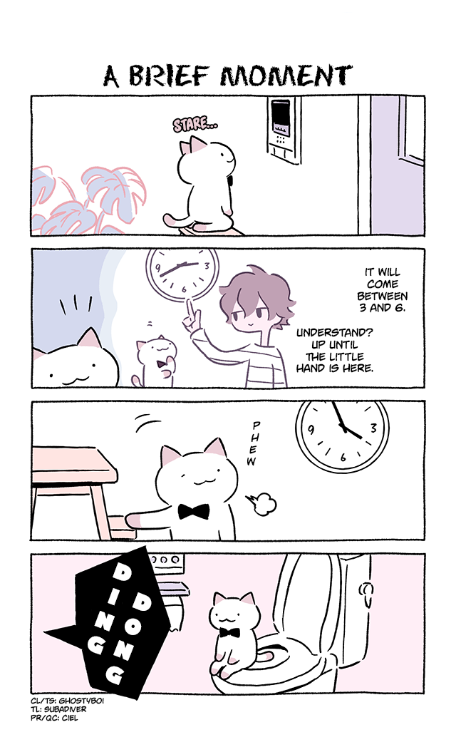 Fushigi Neko no Kyuu-chan Chapter 780 page 1 - Chapter 780: A Brief Moment