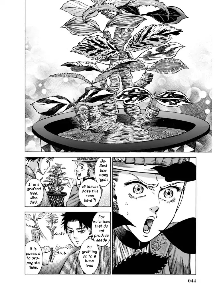 Fushigi no Kuni no Bird Chapter 15 page 41 - Chapter 15