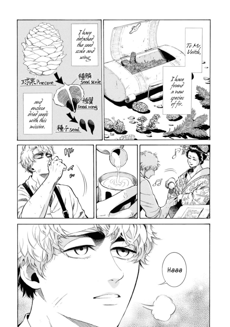 Fushigi no Kuni no Bird Chapter 49.5 page 43 - Chapter 49.5: Charles Maries in Wonderland