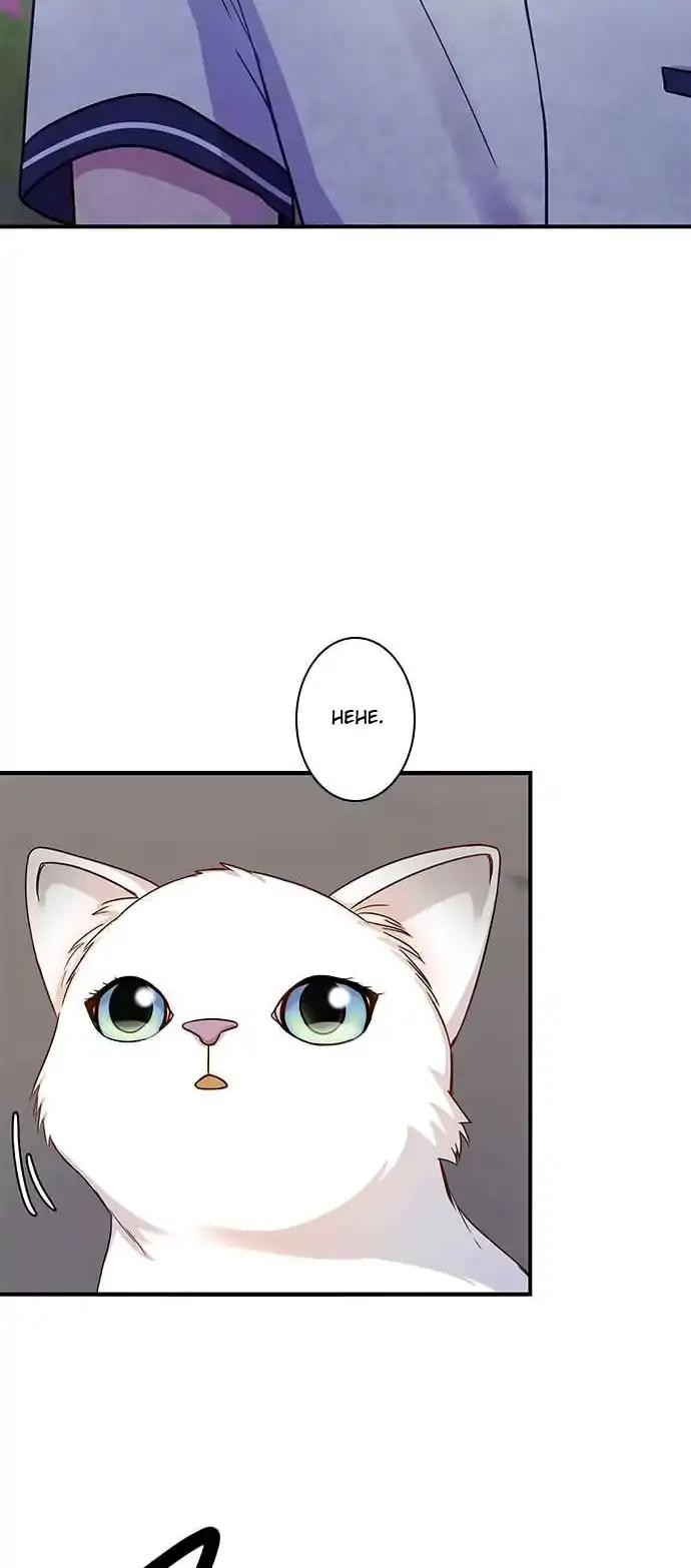Futsuu ni Naritai Chapter 72 page 11 - Chapter 72