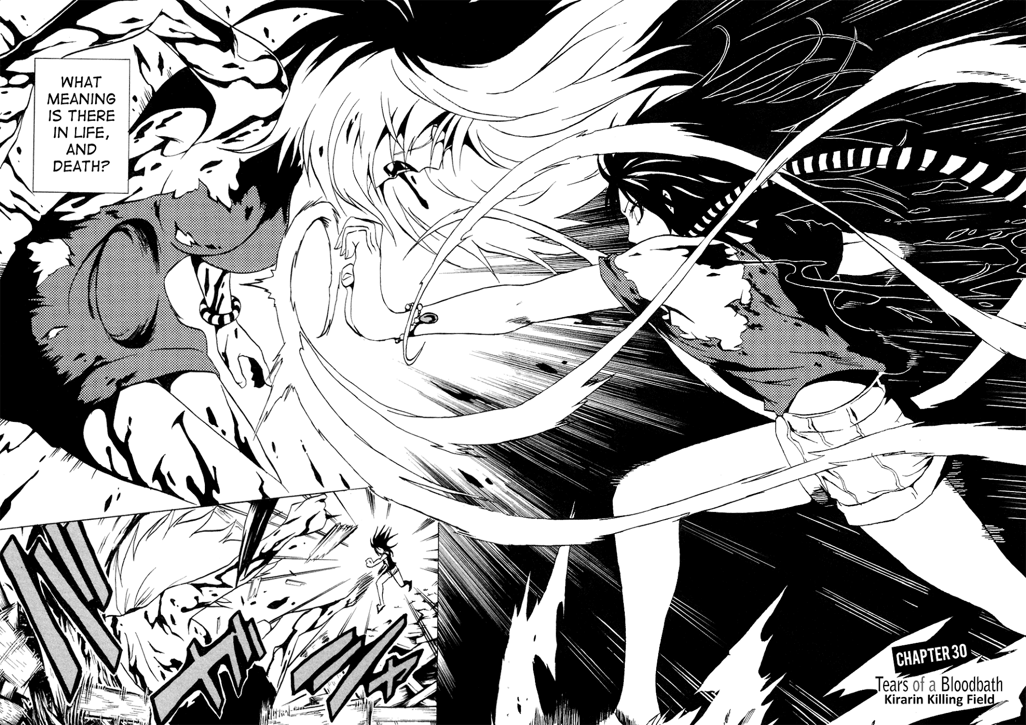 Ga-Rei Chapter 30 page 5 - Chapter 30: Tears of a Bloodbath