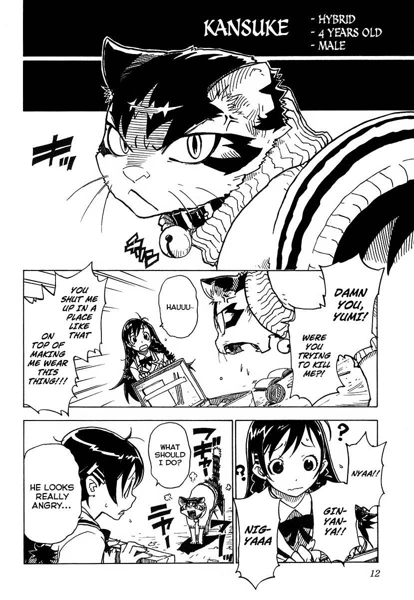 Gakuen Sousei Nekoten! Chapter 1 page 13 - Chapter 1: The Academy with Cats