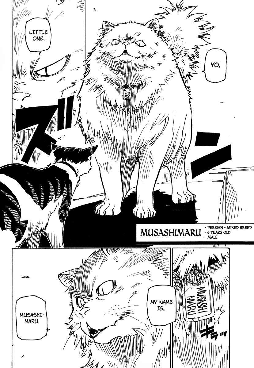 Gakuen Sousei Nekoten! Chapter 1 page 33 - Chapter 1: The Academy with Cats