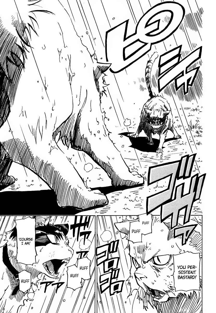 Gakuen Sousei Nekoten! Chapter 1 page 40 - Chapter 1: The Academy with Cats