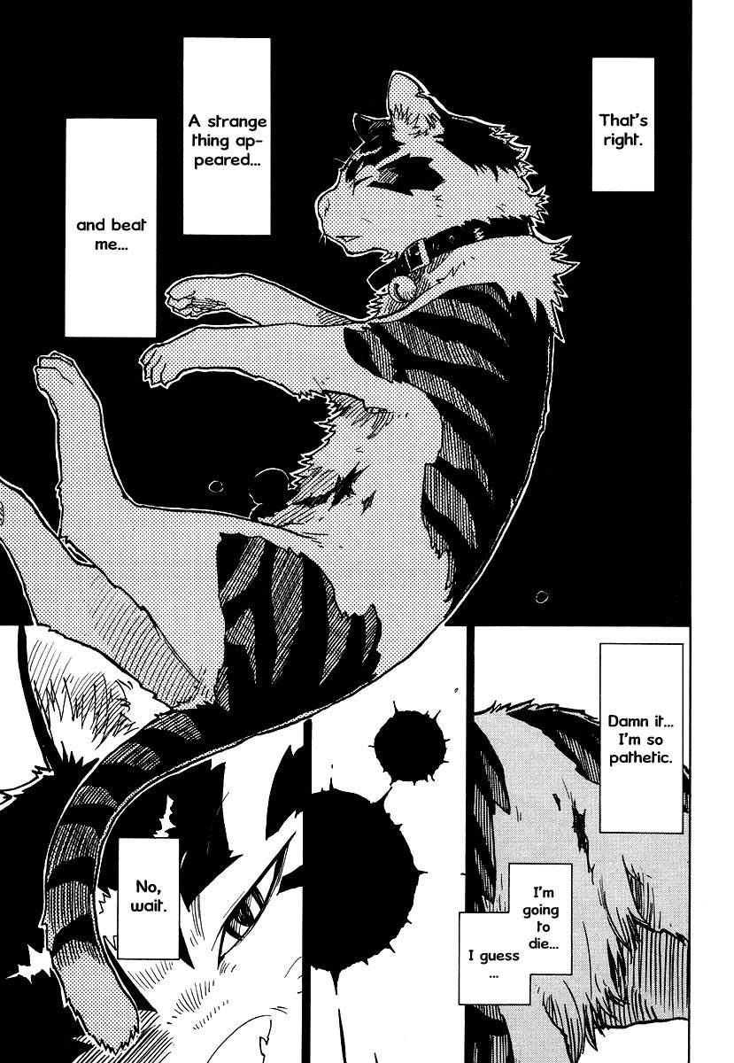 Gakuen Sousei Nekoten! Chapter 2 page 12 - Chapter 2: Your Special Skill