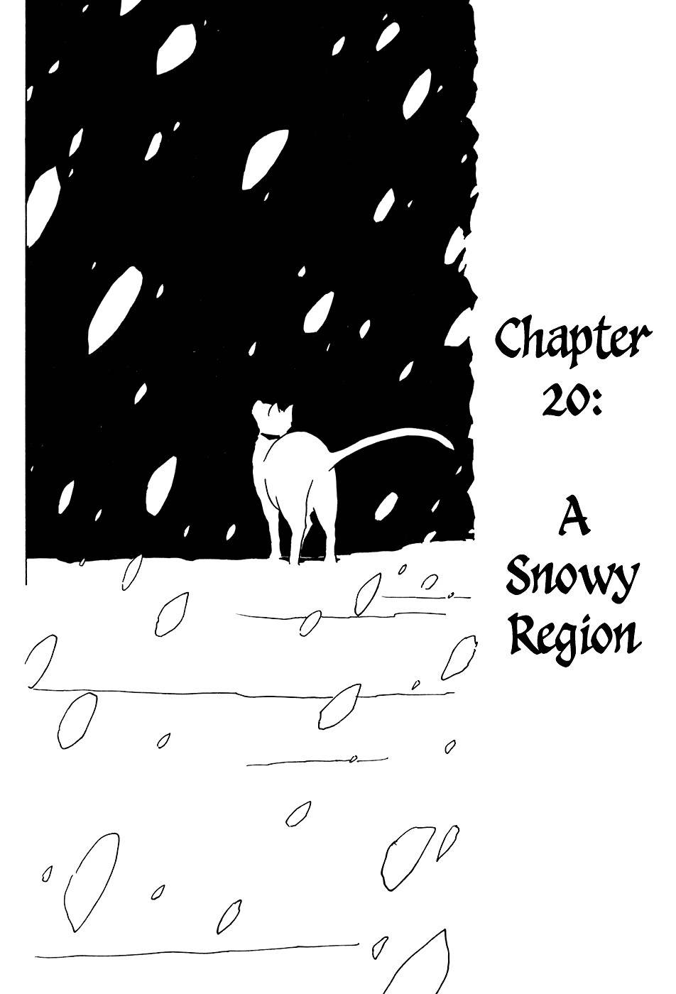 Gakuen Sousei Nekoten! Chapter 20 page 5 - Chapter 20: A Snowy Region