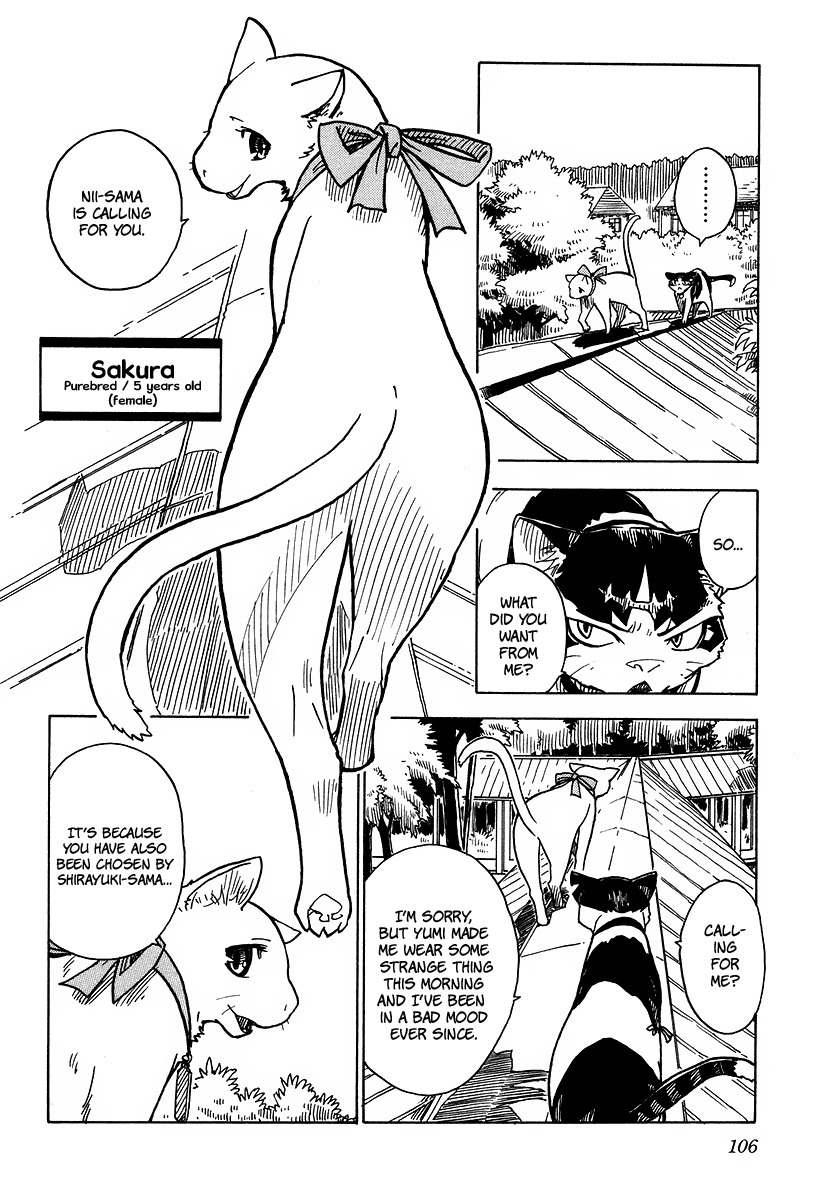 Gakuen Sousei Nekoten! Chapter 3 page 10 - Chapter 3: The Secret Room