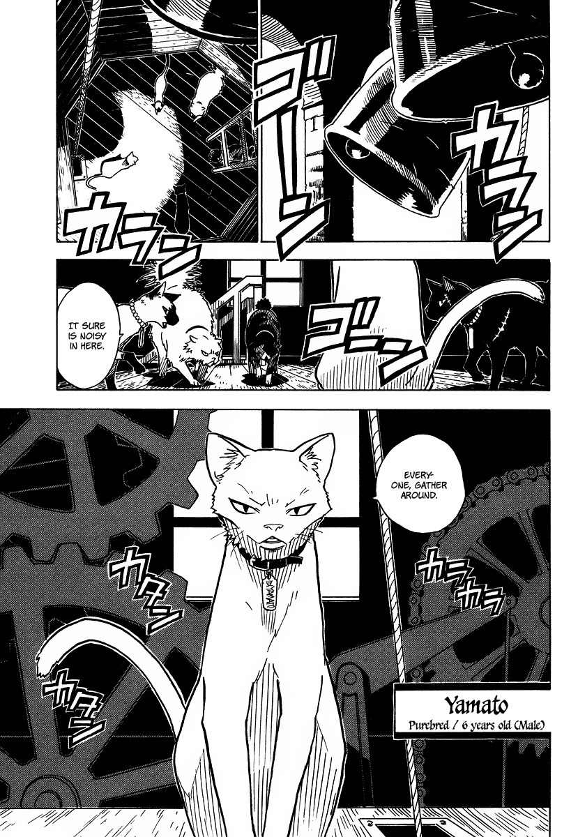 Gakuen Sousei Nekoten! Chapter 3 page 7 - Chapter 3: The Secret Room