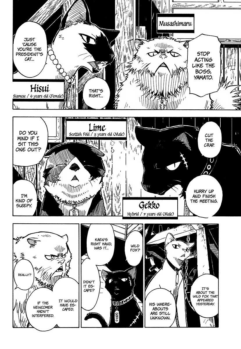 Gakuen Sousei Nekoten! Chapter 3 page 8 - Chapter 3: The Secret Room