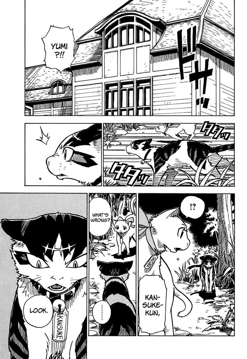 Gakuen Sousei Nekoten! Chapter 7 page 20 - Chapter 7: The Cat Who Disappeared