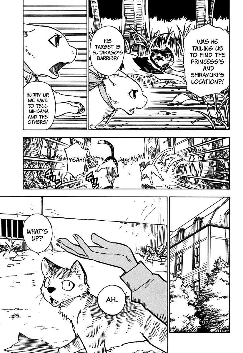 Gakuen Sousei Nekoten! Chapter 7 page 8 - Chapter 7: The Cat Who Disappeared