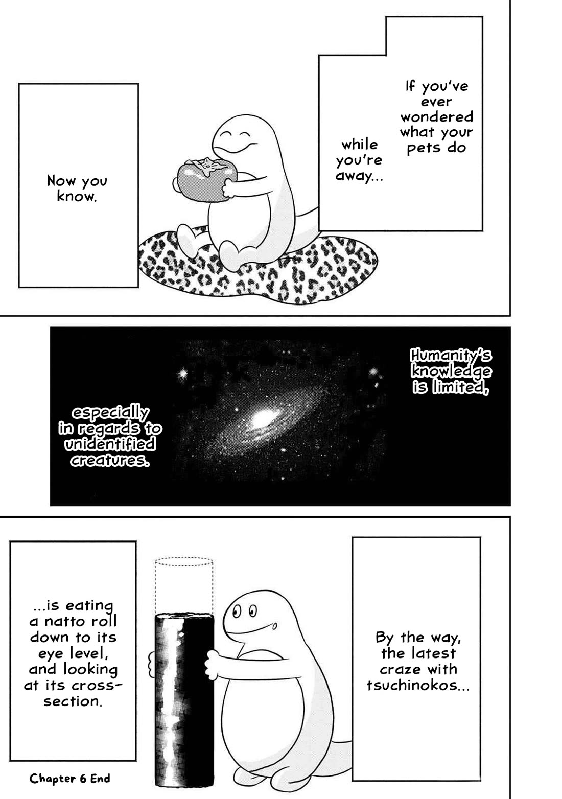 Gal & Tsuchinoko Chapter 6 page 13 - Chapter 6: Urban Tsuchinoko Life
