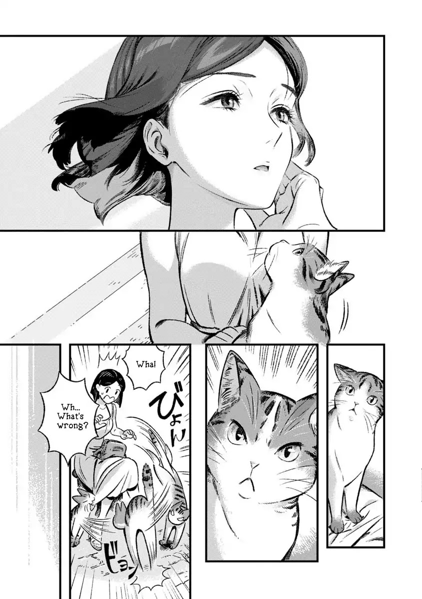 Garden in Bloom Through Prism Chapter 7 page 10 - Chapter 7: Date With a Cat in Dubrovnik