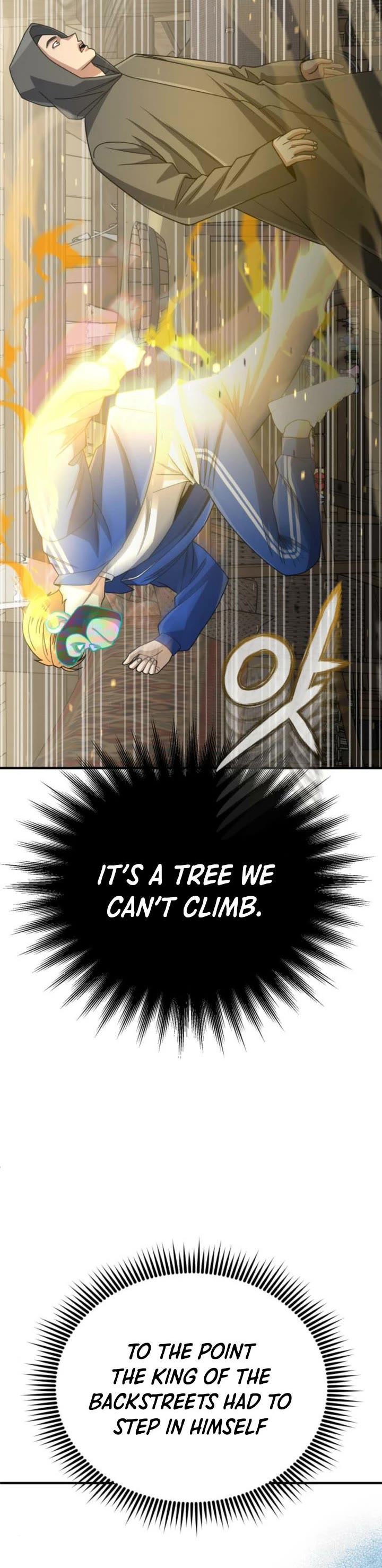 Genius of the Unique Lineage Chapter 119 page 17 - Chapter 119