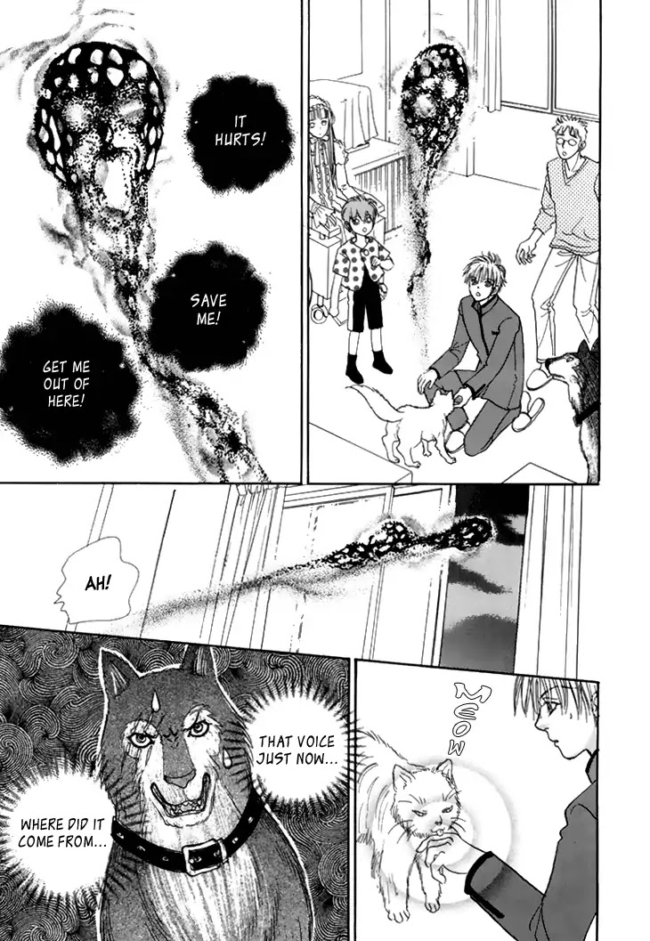 Genjuu no Seiza Chapter 39 page 16 - Chapter 39: Disciples of Darkness
