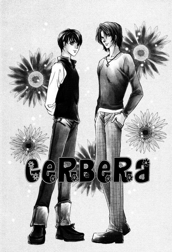 Gerbera Chapter 1 page 8 - Chapter 1 : Gerbera