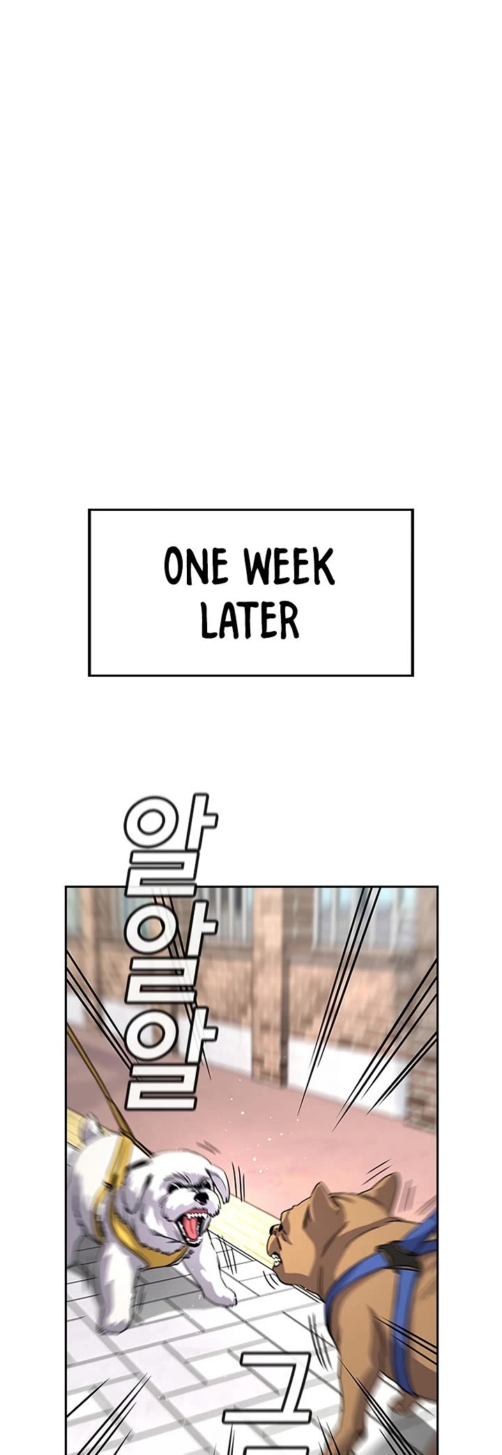 Get Schooled Chapter 242 page 23 - Chapter 242