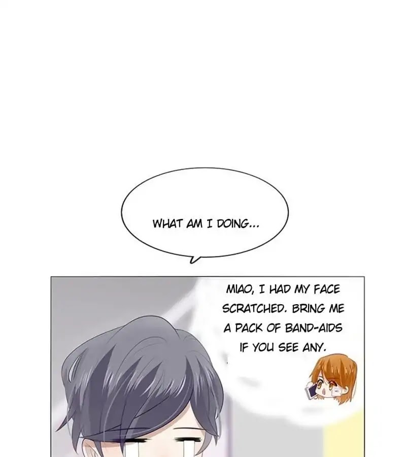 Getting Married Is Not Easy Chapter 32 page 65 - Chapter 32: Scratch