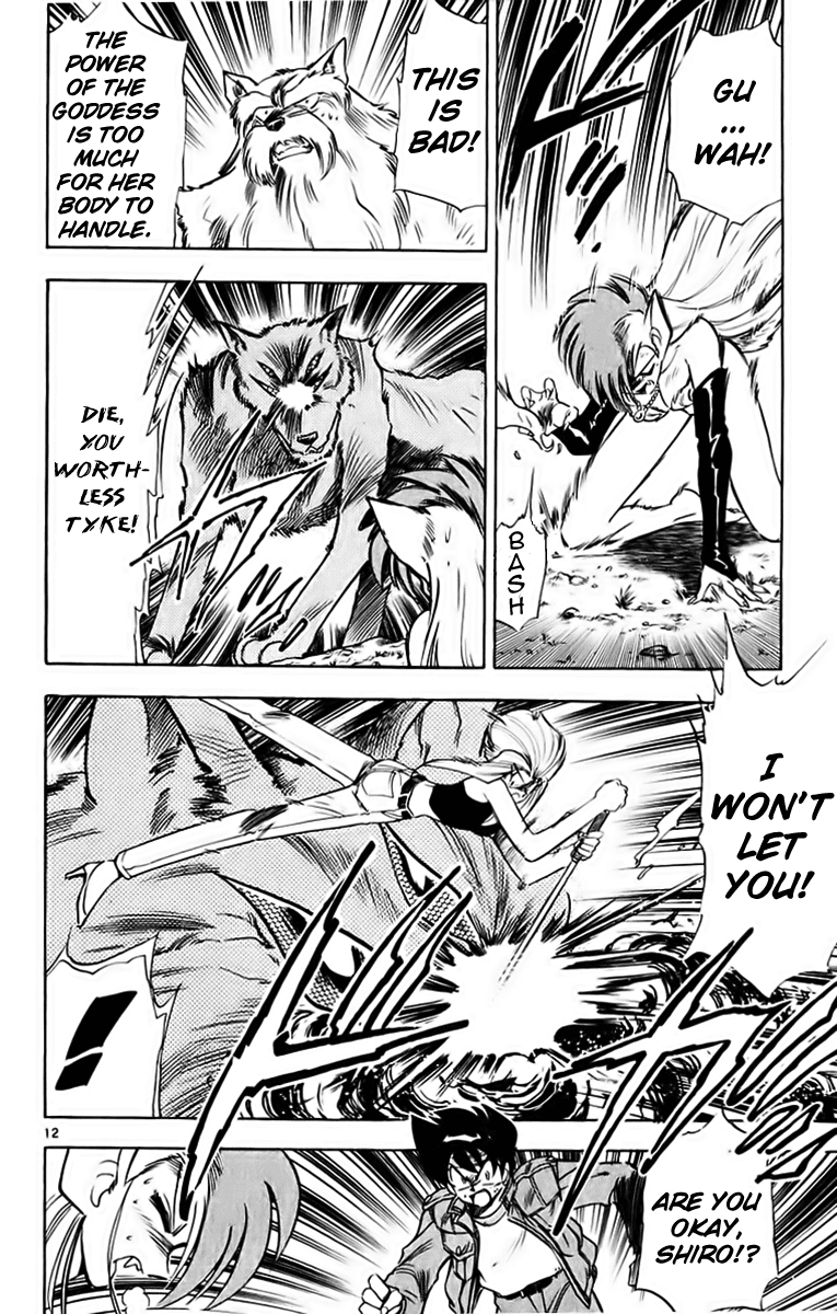 Ghost Sweeper Mikami Chapter 19.1 page 17 - Vol.19 Chapter 1: Report 1 - Battle with Wolves!! (Part Eight)