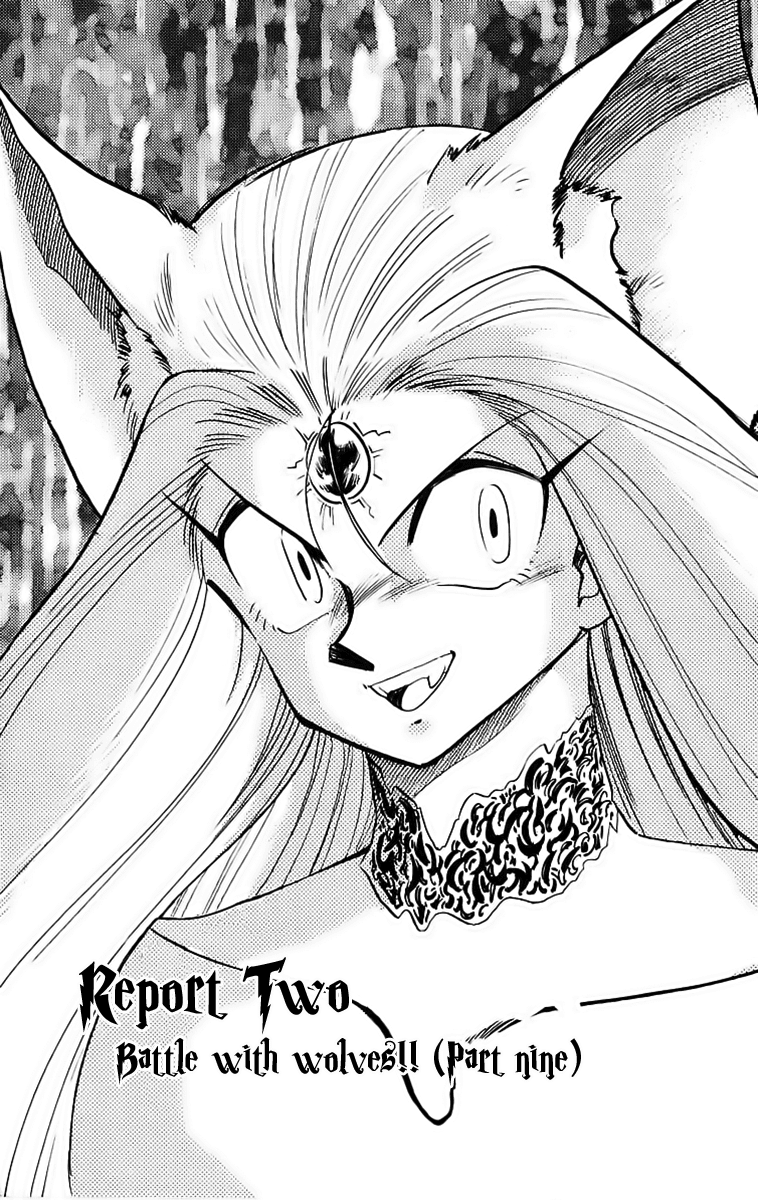 Ghost Sweeper Mikami Chapter 19.2 page 1 - Vol.19 Chapter 2: Report 2 - Battle with Wolves!! (Part Nine)