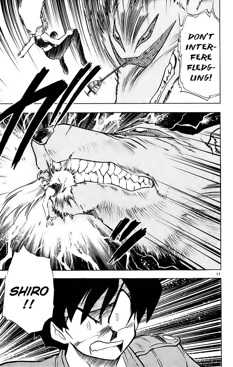 Ghost Sweeper Mikami Chapter 19.2 page 11 - Vol.19 Chapter 2: Report 2 - Battle with Wolves!! (Part Nine)