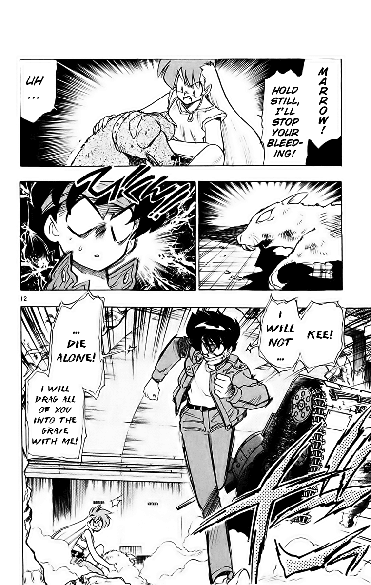 Ghost Sweeper Mikami Chapter 19.8 page 12 - Vol.19 Chapter 8: Report 8 - A Dog's Life Is Harsh!! (Part Three)
