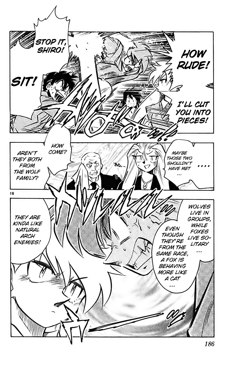 Ghost Sweeper Mikami Chapter 36.10 page 18 - Vol.36 Chapter 10: Report 10 - White Wolf and White Fox!! (Part One)
