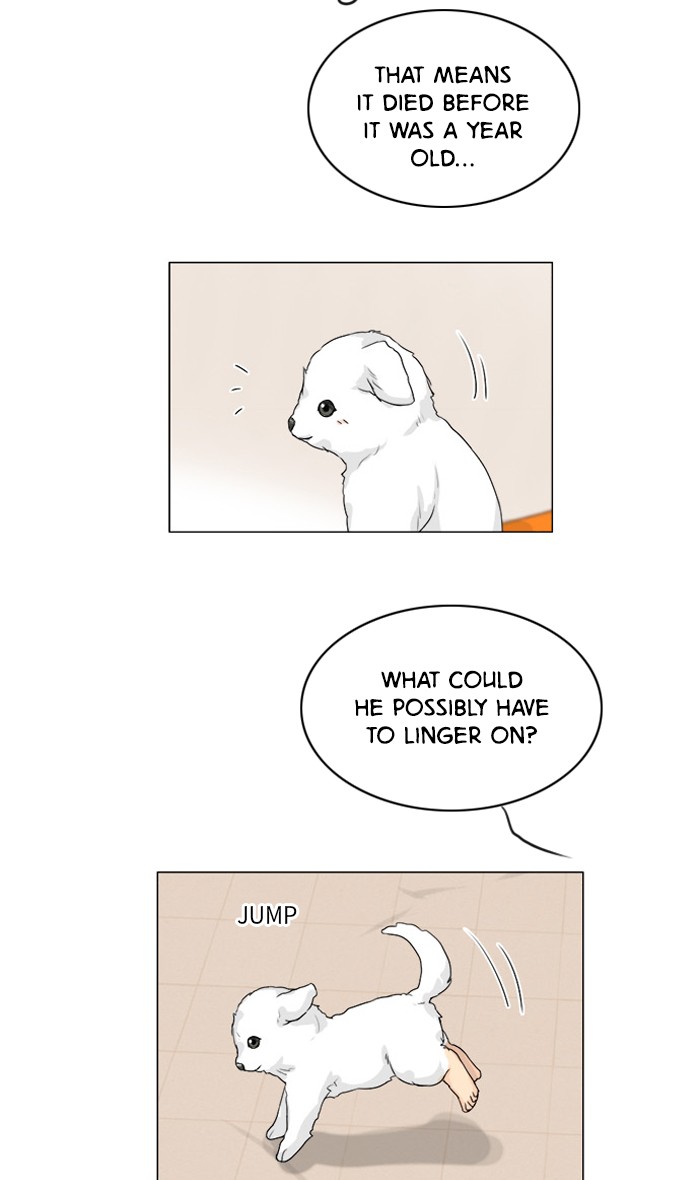 Ghost Wife Chapter 101 page 8 - Chapter 101: Episode 101