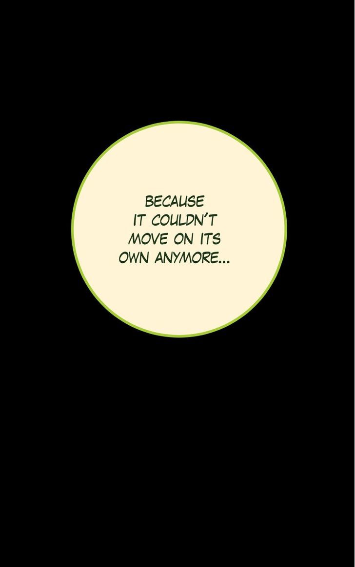 Ghosts Among the Wild Flowers Chapter 24 page 33 - Chapter 24