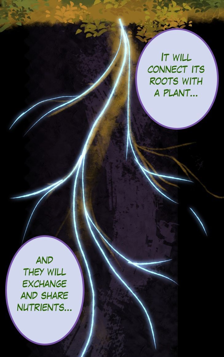 Ghosts Among the Wild Flowers Chapter 70 page 11 - Chapter 70