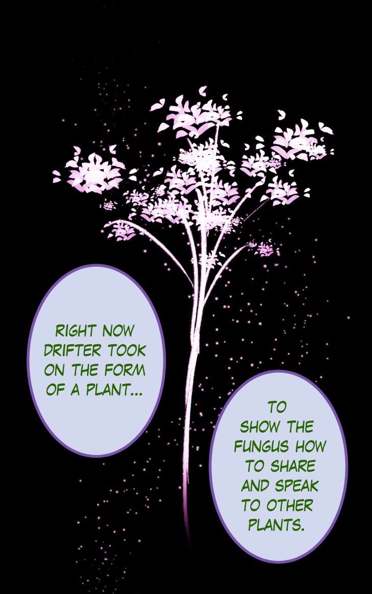Ghosts Among the Wild Flowers Chapter 70 page 23 - Chapter 70