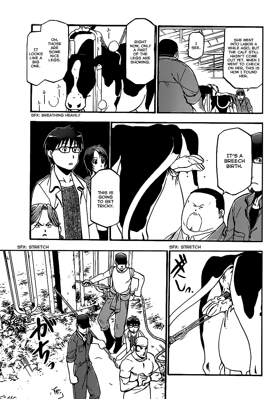 Gin no Saji Chapter 17 page 13 - Chapter 17: Summertime (7)