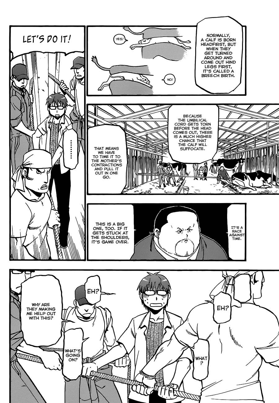 Gin no Saji Chapter 17 page 14 - Chapter 17: Summertime (7)